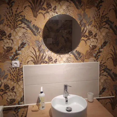 Independante Avec Sdb Privative Maron