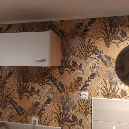 Chambre Avec Sdb Privative Проживание в семье