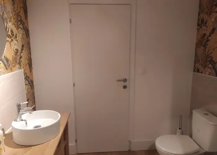 Independante Avec Sdb Privative Maron