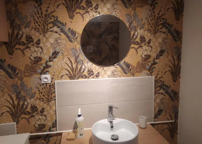 Independante Avec Sdb Privative Maron